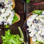 Cranberry Tuna Salad - Slender Kitchen