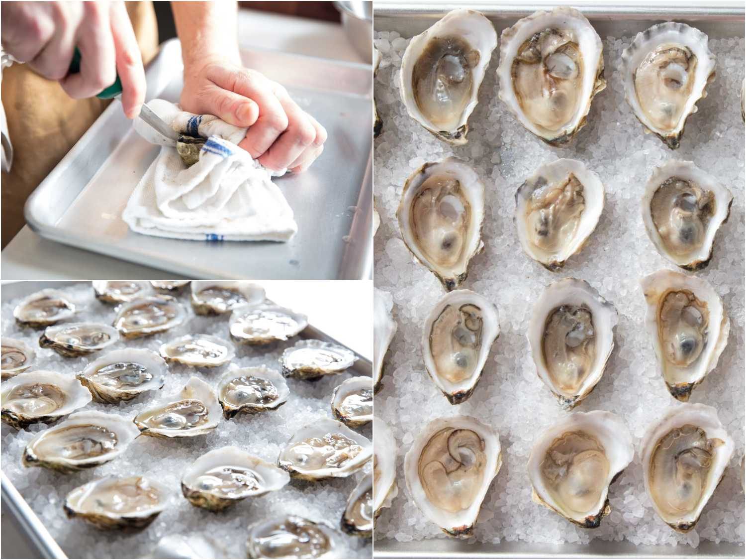 Shucking oysters and placing them on rock salt for oysters Rockefeller.
