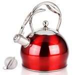 Best Stainless Steel Whistling Teakettle Tea Pot