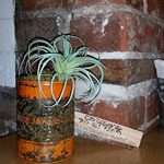 Distressed Orange Tin Can lantern/Planter