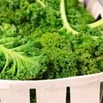 Ultimate Guide to Kale: Healthy Benefits, Recipes,