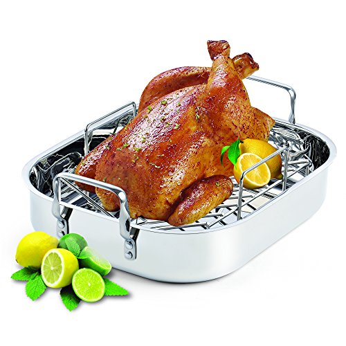 stainless steel roaster