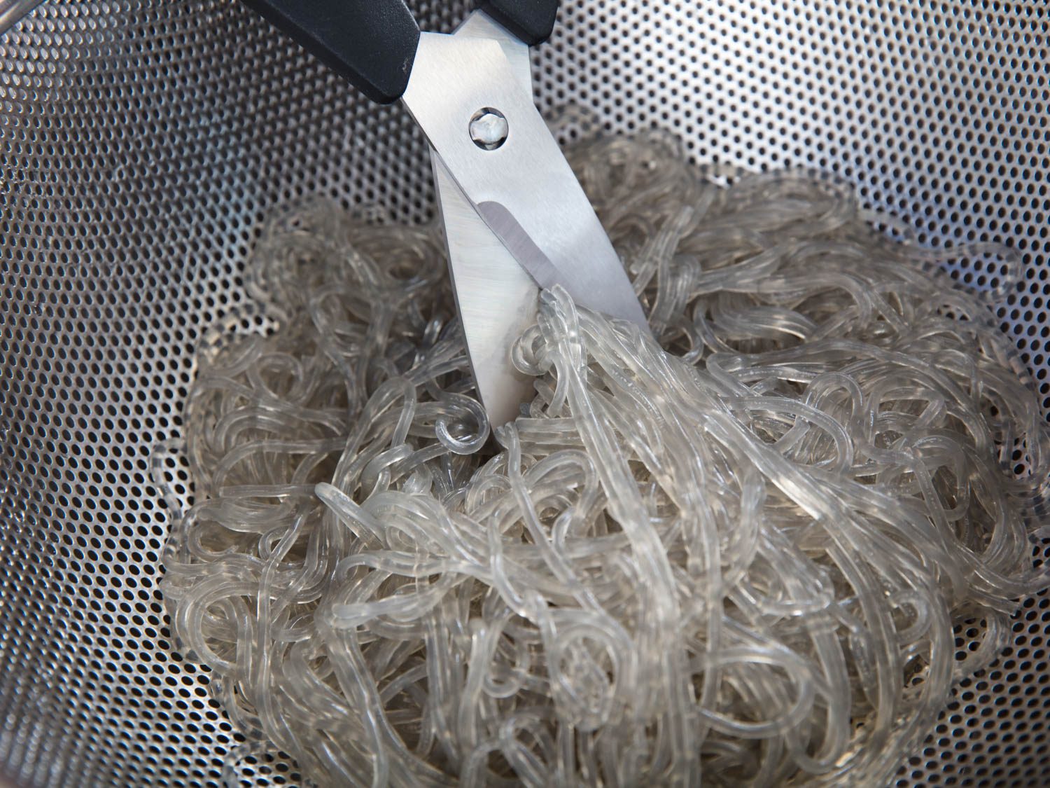 Cutting the cooked japchae noodles