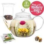 Teabloom Teapot Gift Set – Stovetop Safe Glass Tea