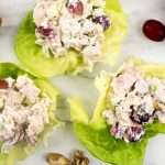 Waldorf Chicken Salad - Slender Kitchen