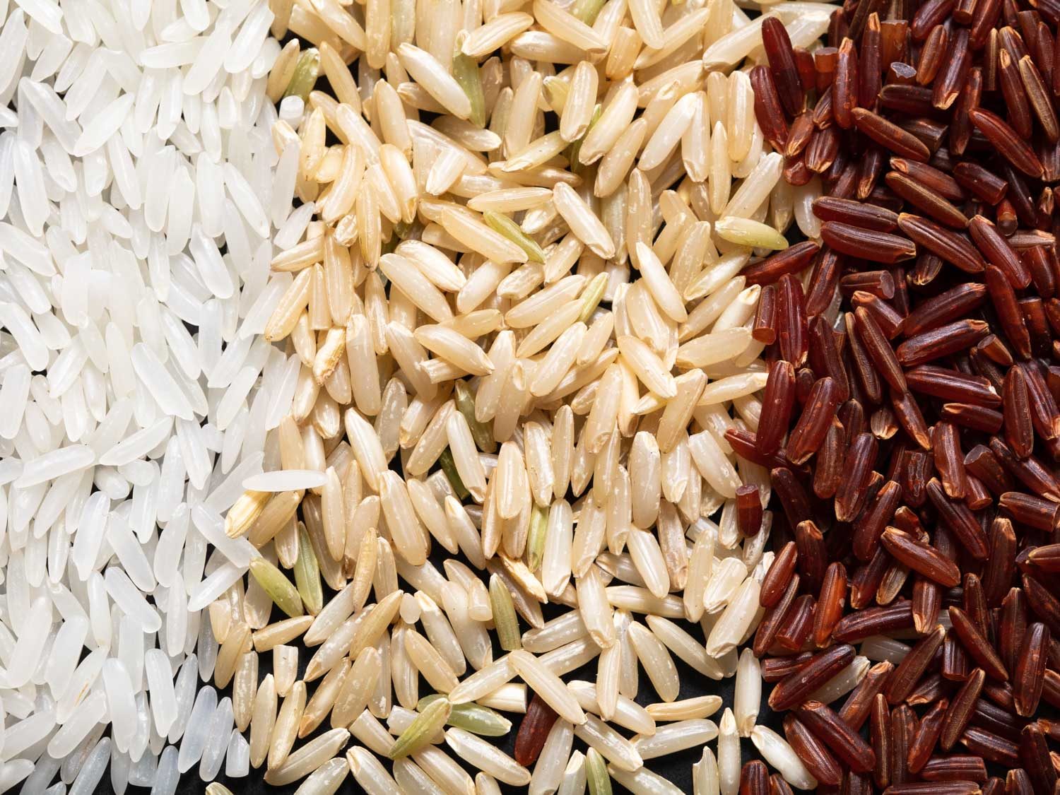 polished, brown, and red jasmine rice comparison shot