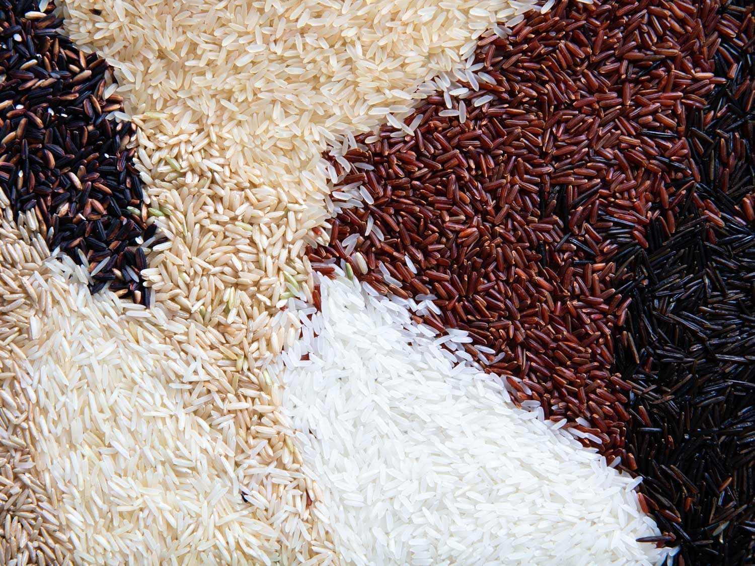 many different varieties of rice spread artfully on a surface