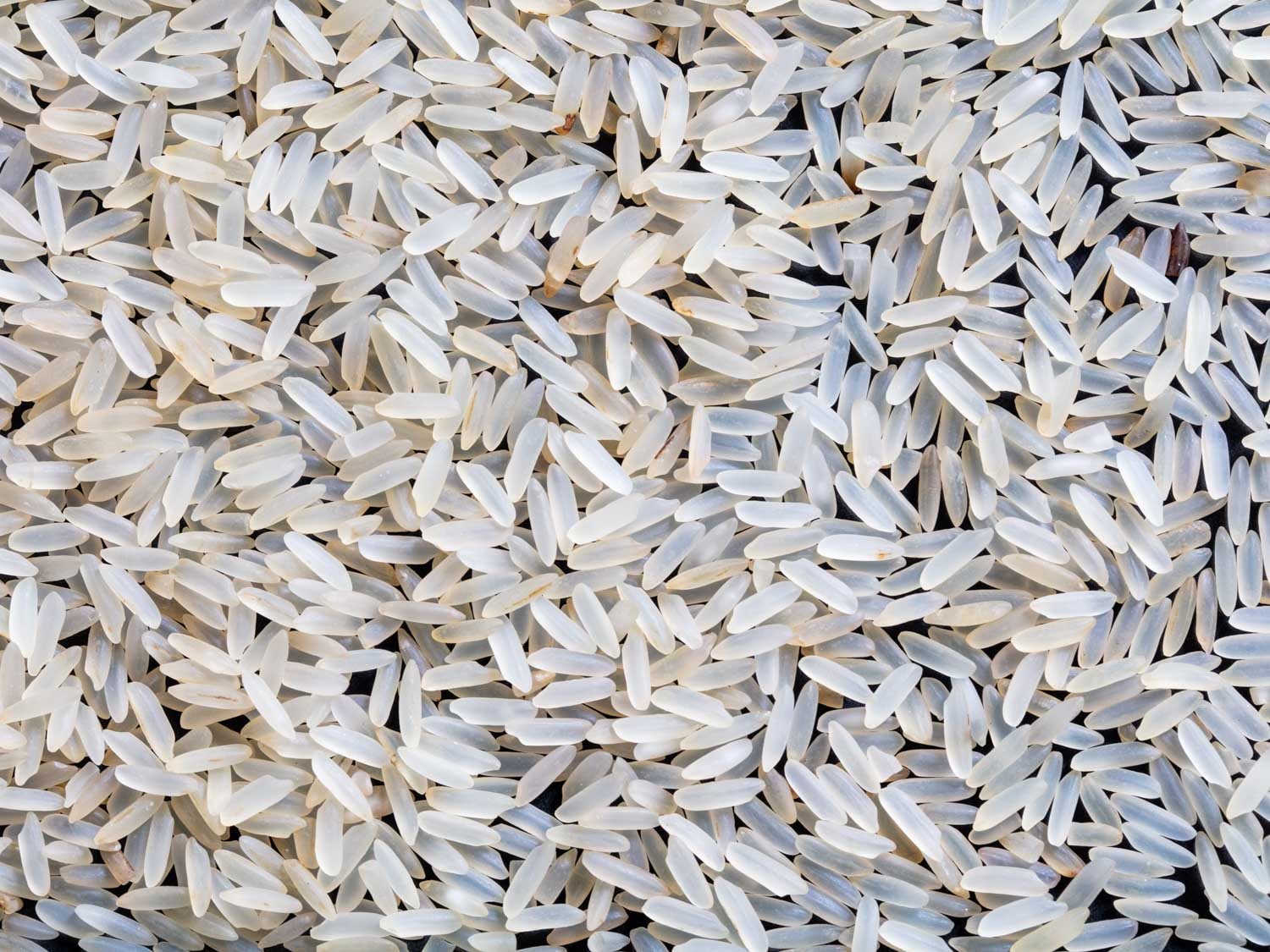 close up of extra long grain parboiled rice