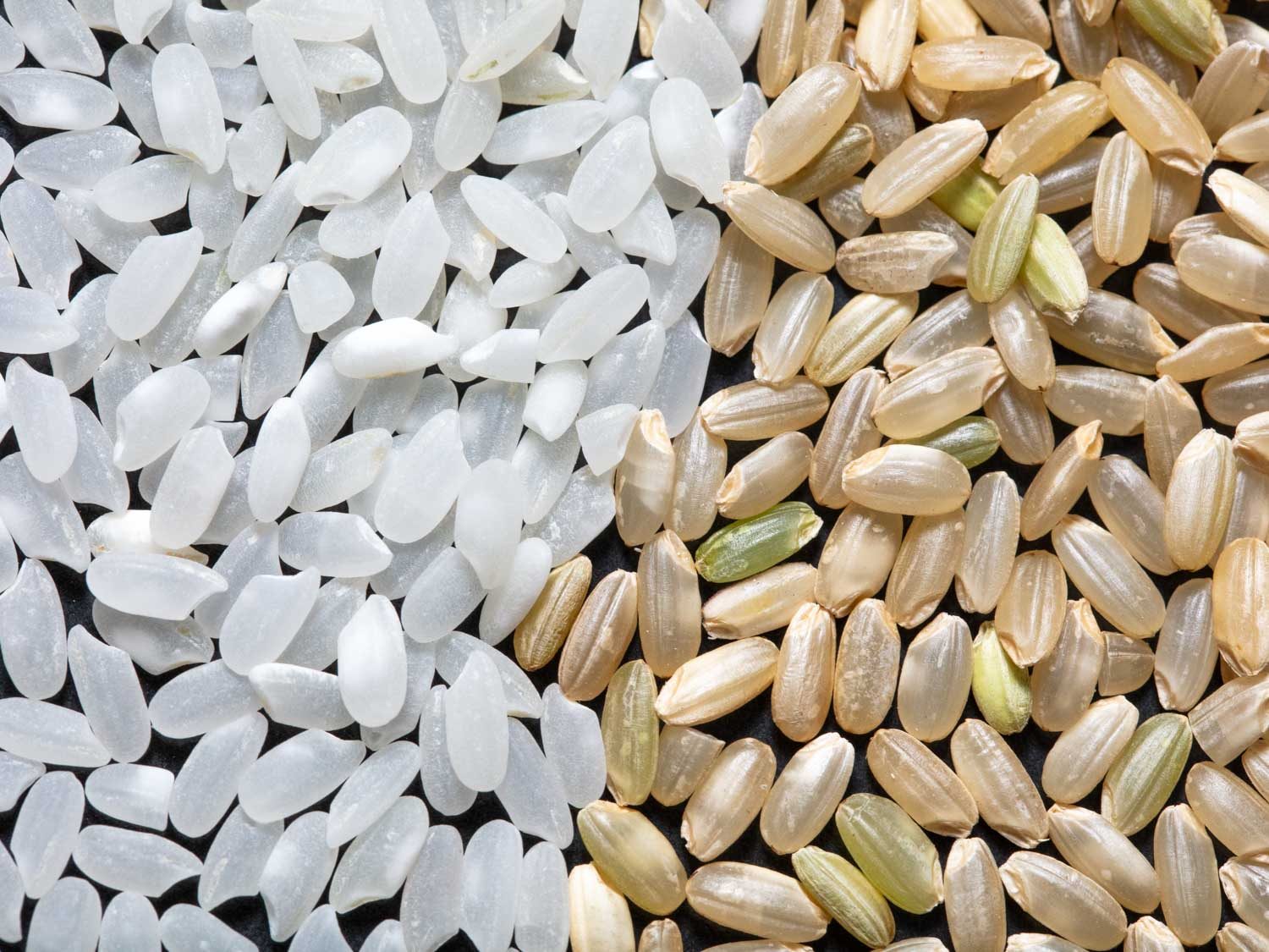 Short- to medium-grained white and brown rice