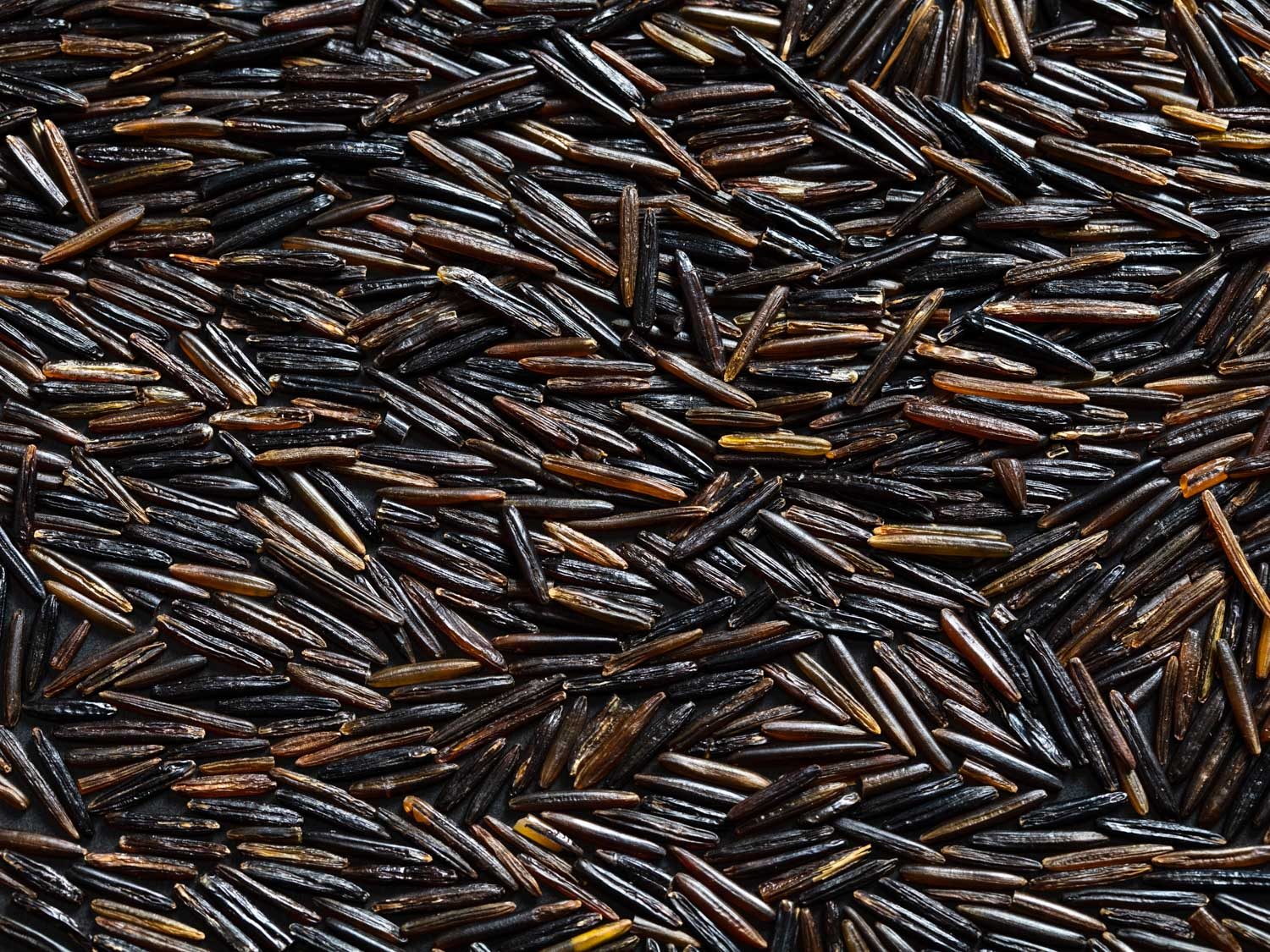 wild rice