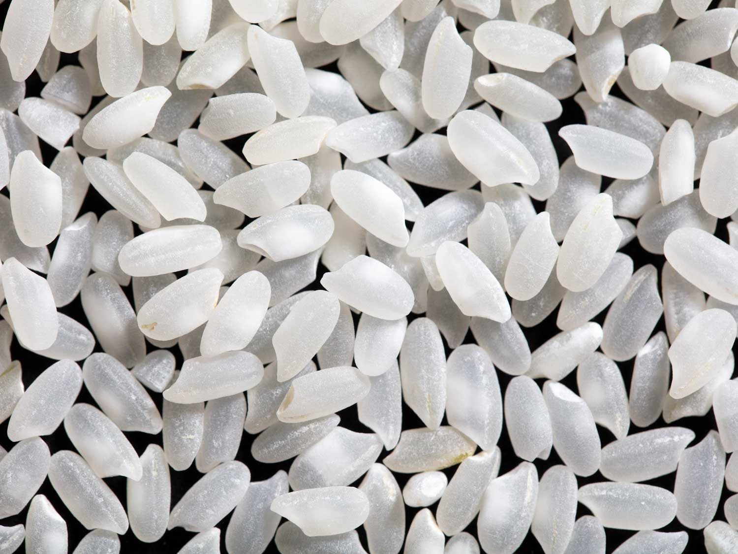 polished Japanese medium-grain rice