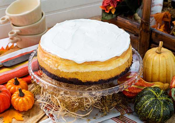 Black Bottom Pumpkin Cheesecake