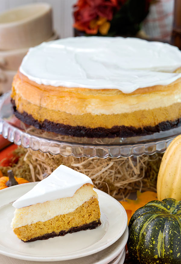 Black Bottom Pumpkin Cheesecake Recipe