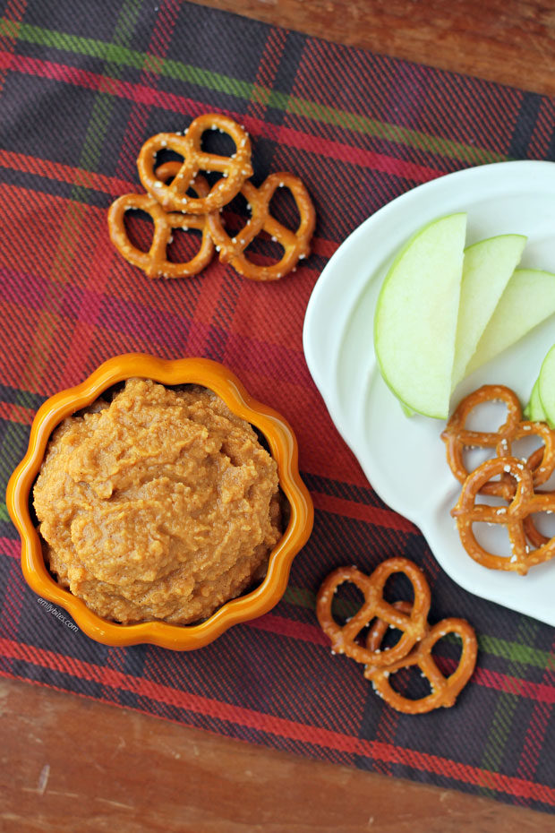 Pumpkin Spice Hummus overhead