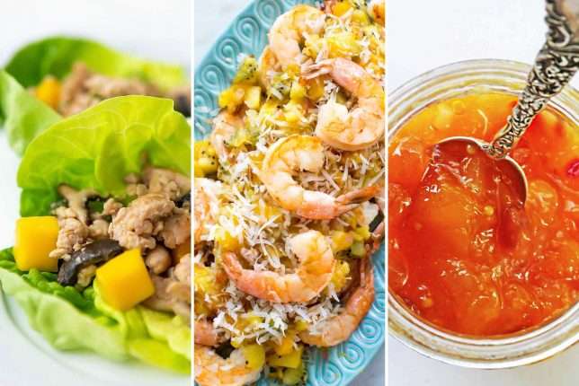 5 Fresh Mango Recipes to Make For Your Next Party!
