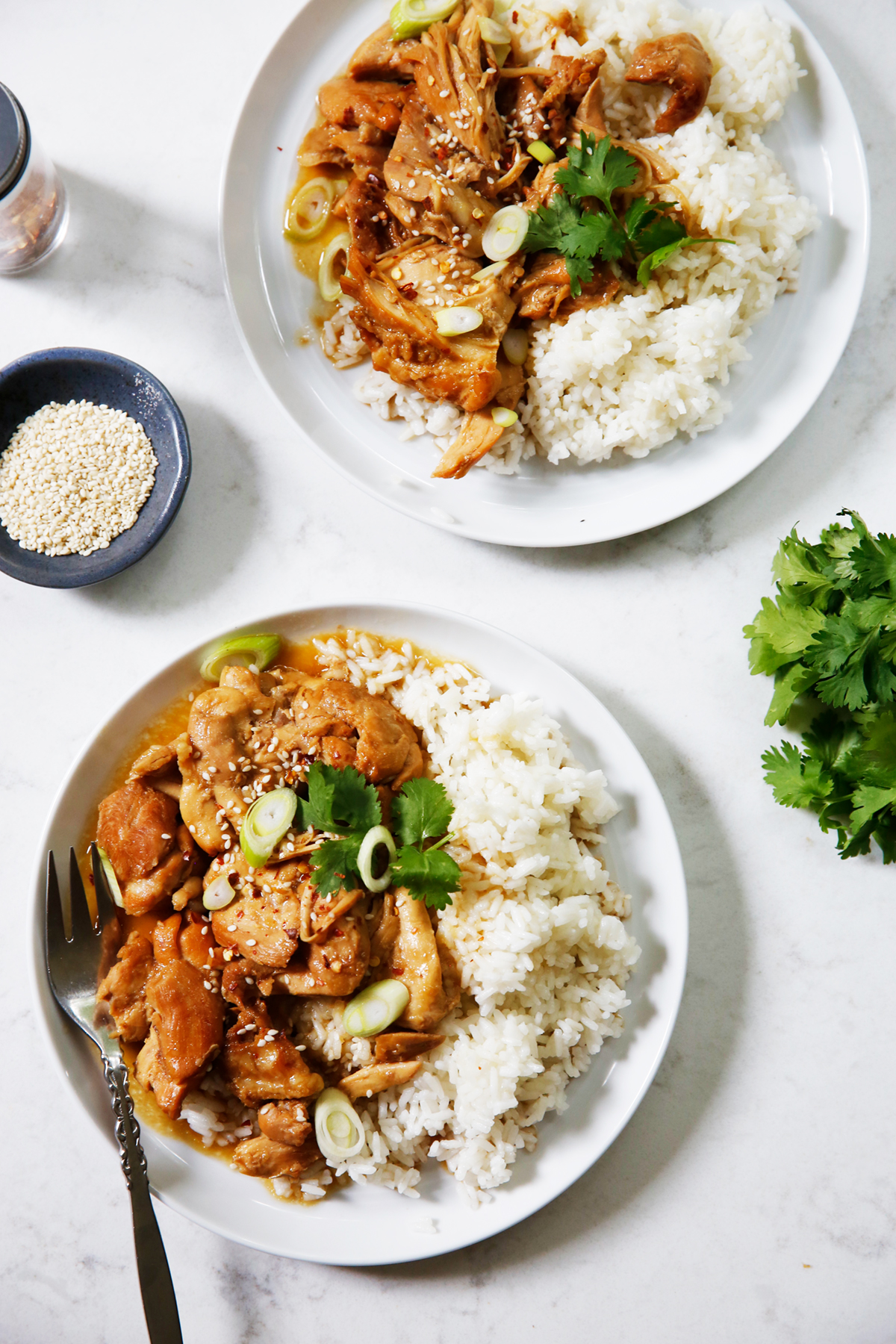 Teriyaki Chicken Instant Pot Recipe