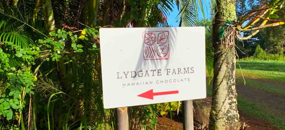 So much chocolate. And fruit. And vanilla. And honey. Lydgate Farms in Kaua’i is truly the place to taste it all.