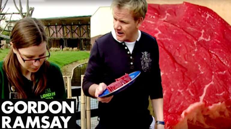 Gordon Cooks Steak For A Vegetarian - Gordon