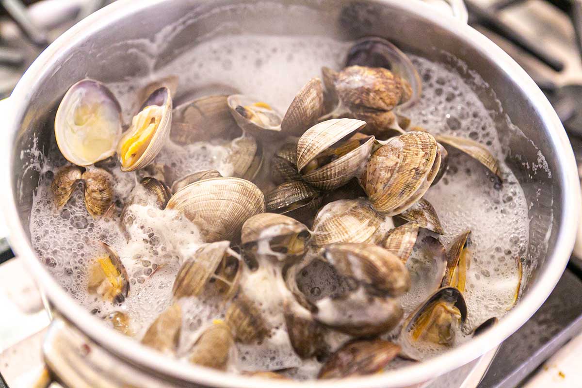 Pot of oysters after steaming