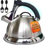 Whistling Tea Kettle with iCool - Handle, Surgical