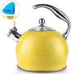 Tea Kettle Best 3 Quart induction Modern Stainless