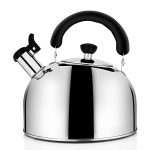 Tea Kettle Stovetop Whistling Tea Pot, Stainless