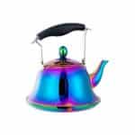 Whistling Tea Kettle with Removable Infusers for