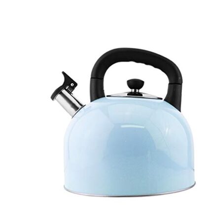 heat Surgical Stainless Steel Teakettle Whistling