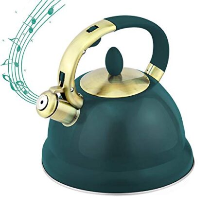 ZHCSS Tea Kettle for Stove Top Whistling Tea