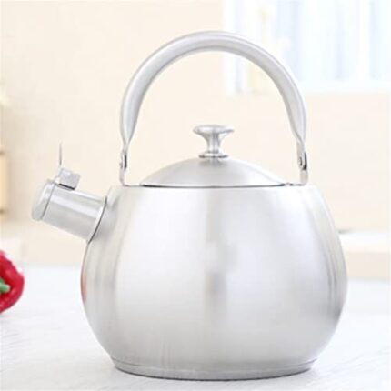 PULASSI Thickened Stainless Steel Large Kettle