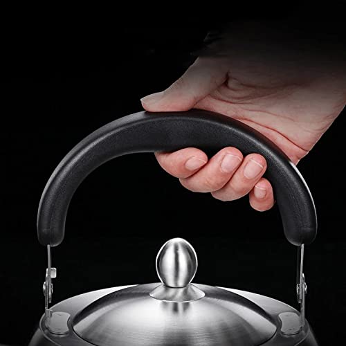 1681259387 743 PDGJG Metal Heat Resistant Kettle Kettle Induction, Cooks Pantry