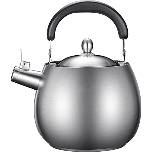 1681259388 PDGJG Metal Heat Resistant Kettle Kettle Induction, Cooks Pantry